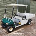 Club Car Turf